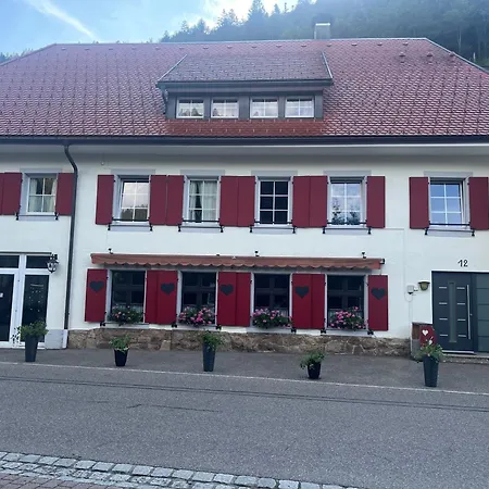 Sky View, Forest Menzenschwand Апартаменты