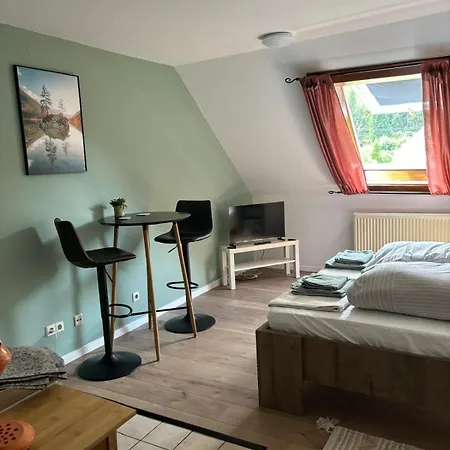 Sky View, Forest Menzenschwand Apartment St. Blasien